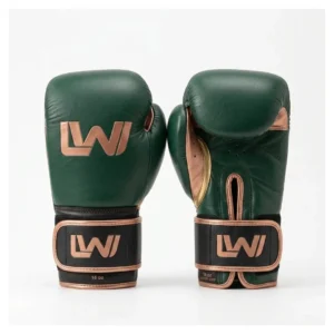 Boxing Gloves