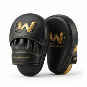 Focus Mitts