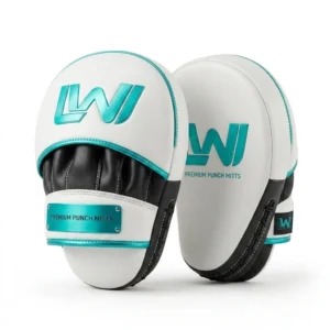 Focus Punch Mitts