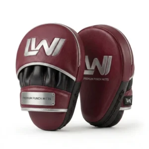 Focus Punch Mitts