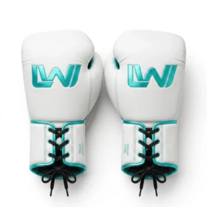 Sparring gloves